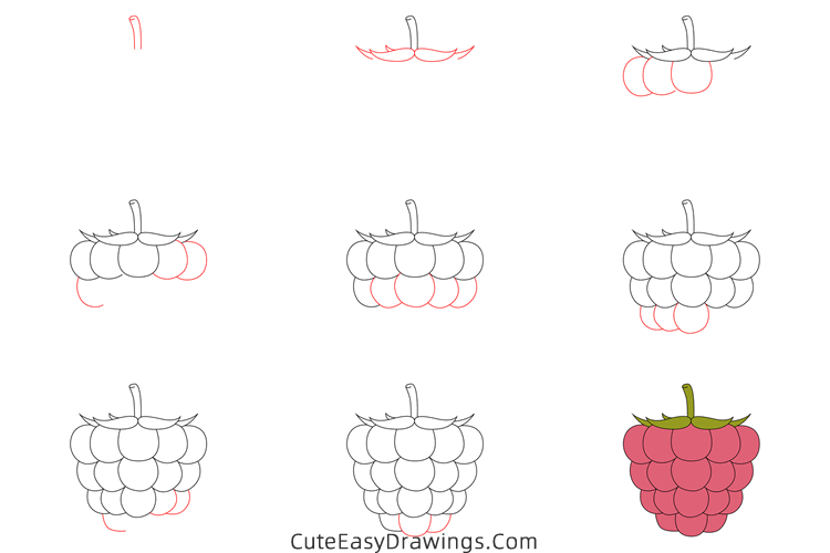 how to draw a raspberry - www.cuteeasydrawings.com