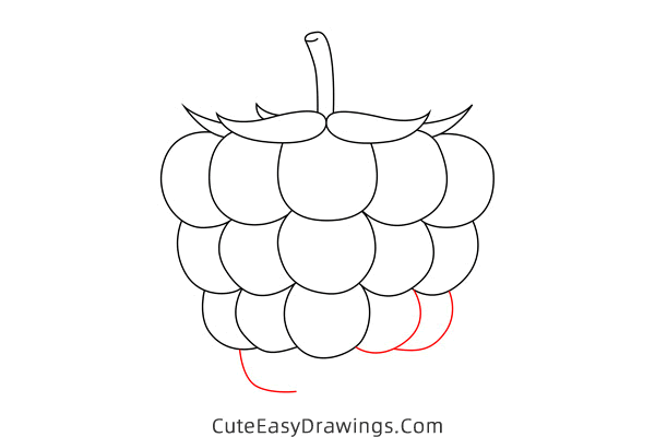 how to draw a raspberry - www.cuteeasydrawings.com