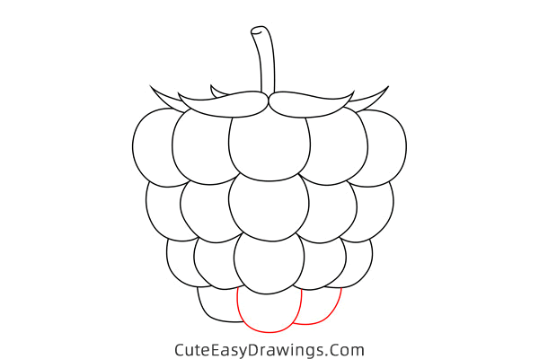 how to draw a raspberry - www.cuteeasydrawings.com