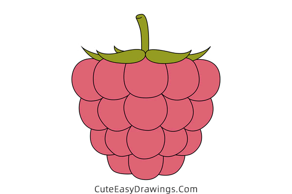 how to draw a raspberry - www.cuteeasydrawings.com