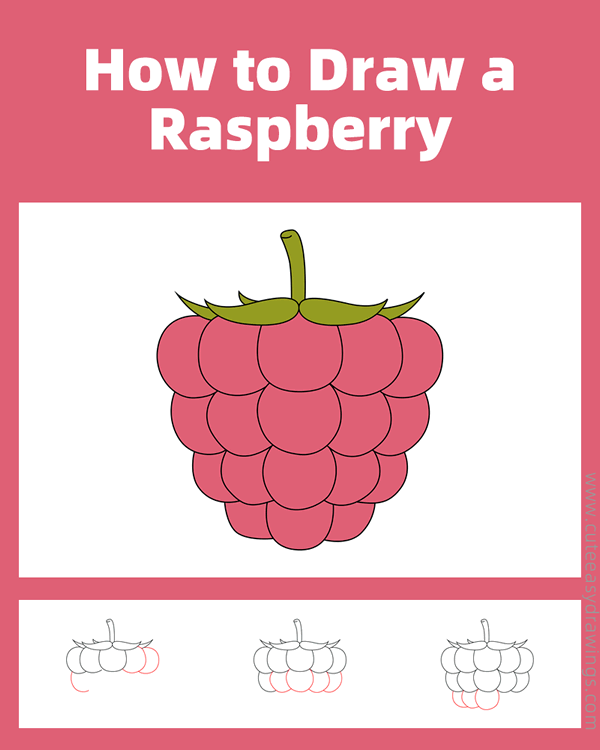 how to draw a raspberry - www.cuteeasydrawings.com