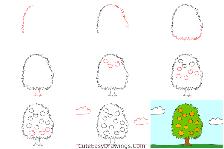 how to draw an orange tree - www.cuteeasydrawings.com