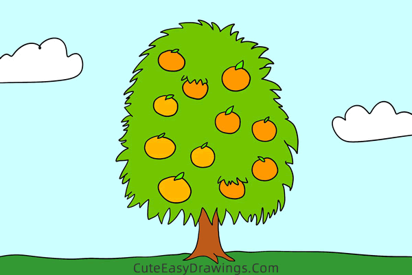 how to draw an orange tree - www.cuteeasydrawings.com