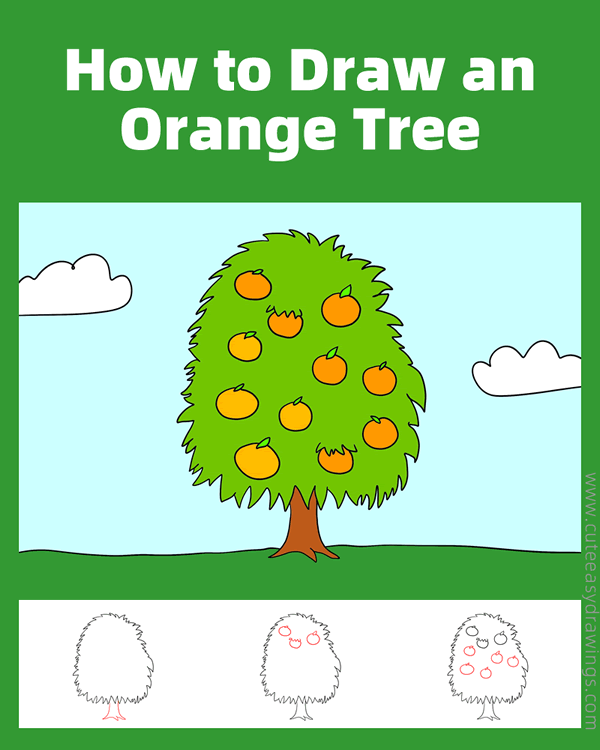 how to draw an orange tree - www.cuteeasydrawings.com