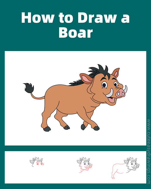 how to draw a wild boar - www.cuteeasydrawings.com