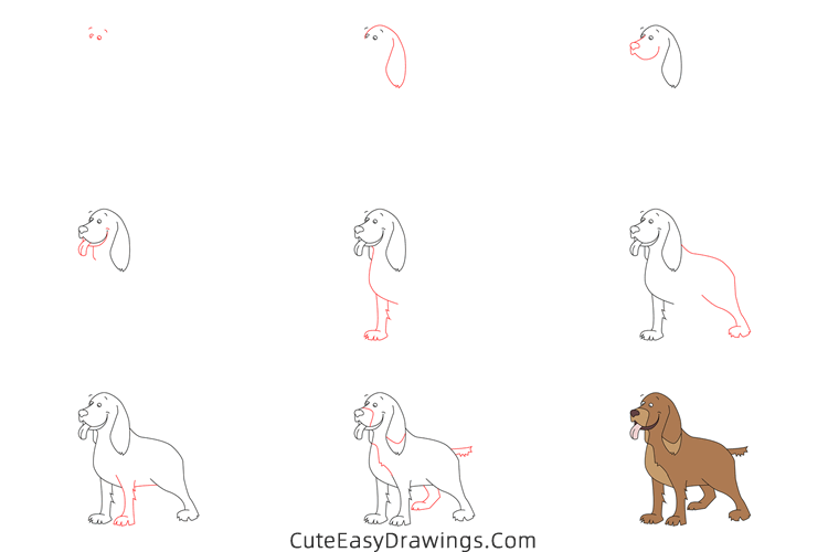 how to draw a cocker spaniel - www.cuteeasydrawings.com