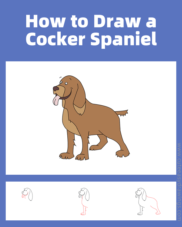 how to draw a cocker spaniel - www.cuteeasydrawings.com