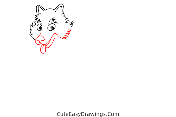 how to draw a wolf - www.cuteeasydrawings.com