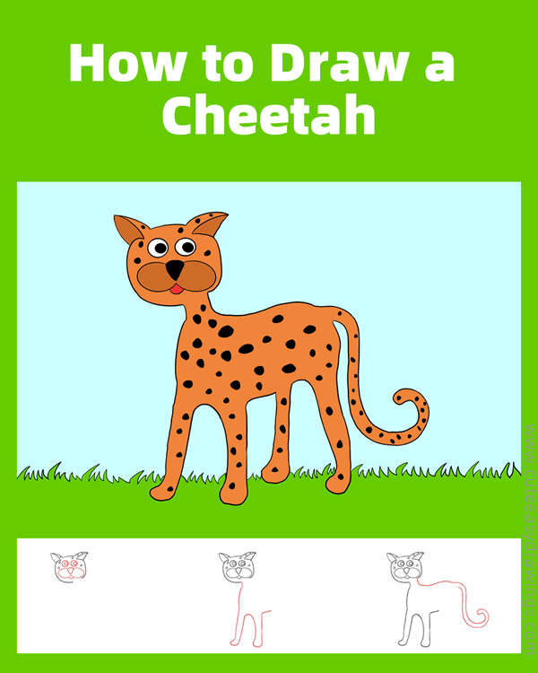 how to draw a cheetah - www.cuteeasydrawings.com