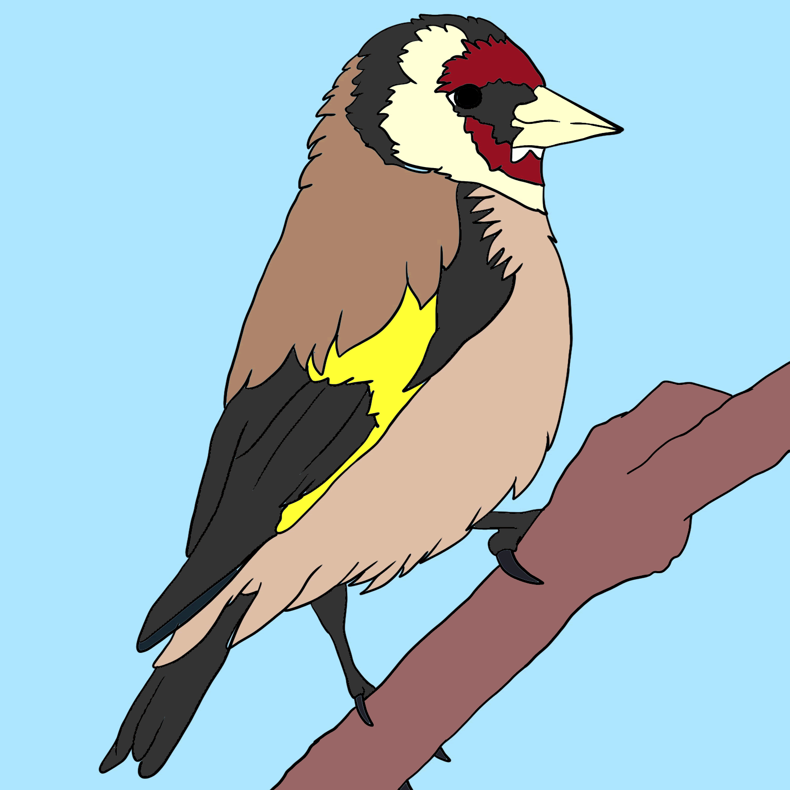 How to Draw a Goldfinch Step by Step