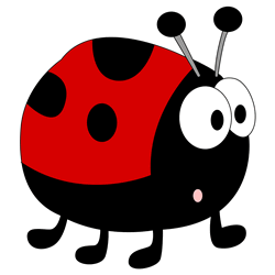 How to Draw a Ladybug Step by Step