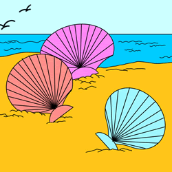 How to Draw a Seashell Step by Step