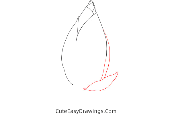 how to draw a bud - www.cuteeasydrawings.com