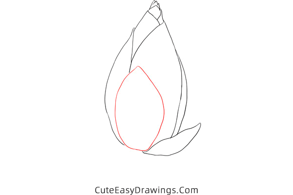 how to draw a bud - www.cuteeasydrawings.com