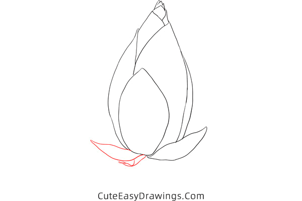 how to draw a bud - www.cuteeasydrawings.com