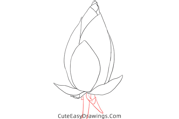 how to draw a bud - www.cuteeasydrawings.com