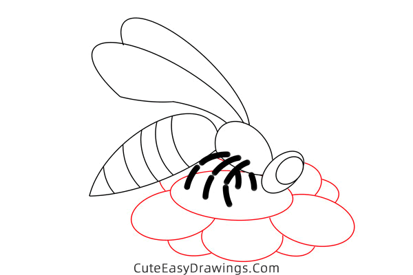 how to draw a bee on a flower - www.cuteeasydrawings.com