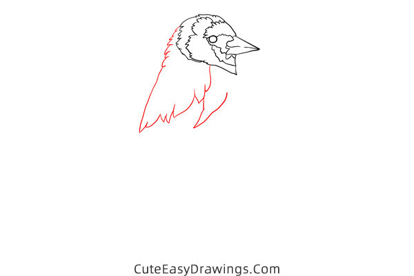 how to draw a goldfinch - www.cuteeasydrawings.com