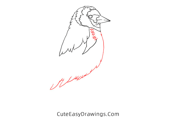 how to draw a goldfinch - www.cuteeasydrawings.com