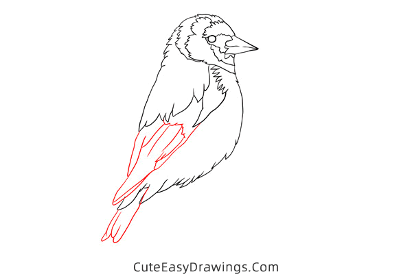 how to draw a goldfinch - www.cuteeasydrawings.com