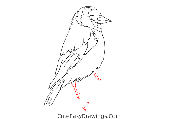 how to draw a goldfinch - www.cuteeasydrawings.com