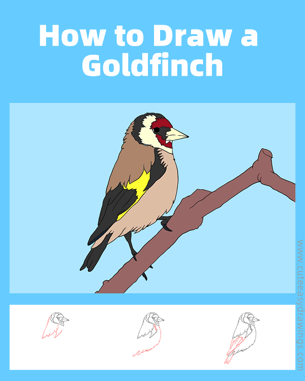 how to draw a goldfinch - www.cuteeasydrawings.com