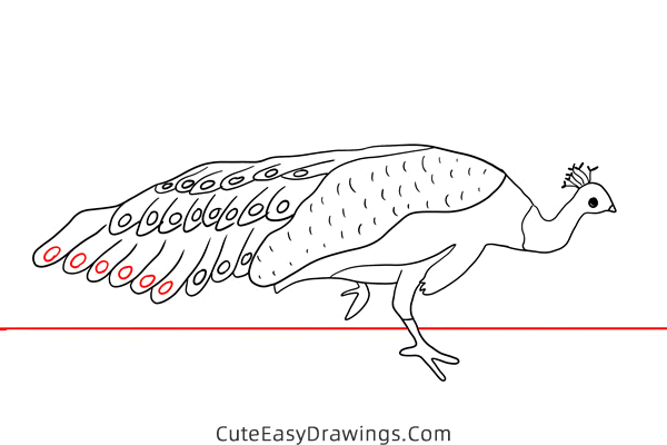 how to draw a realistic peacock - www.cuteeasydrawings.com