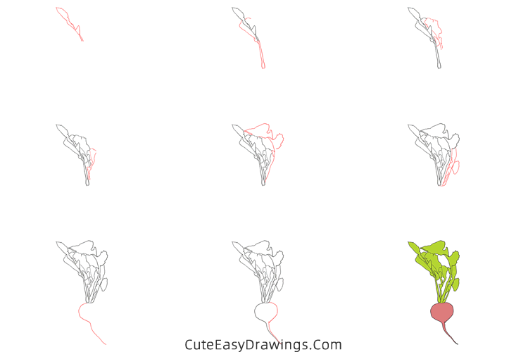 how to draw a radish - www.cuteeasydrawings.com