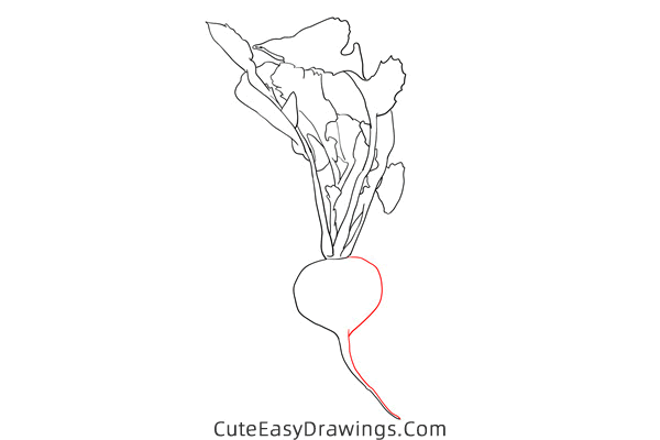 how to draw a radish - www.cuteeasydrawings.com