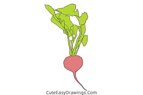 how to draw a radish - www.cuteeasydrawings.com