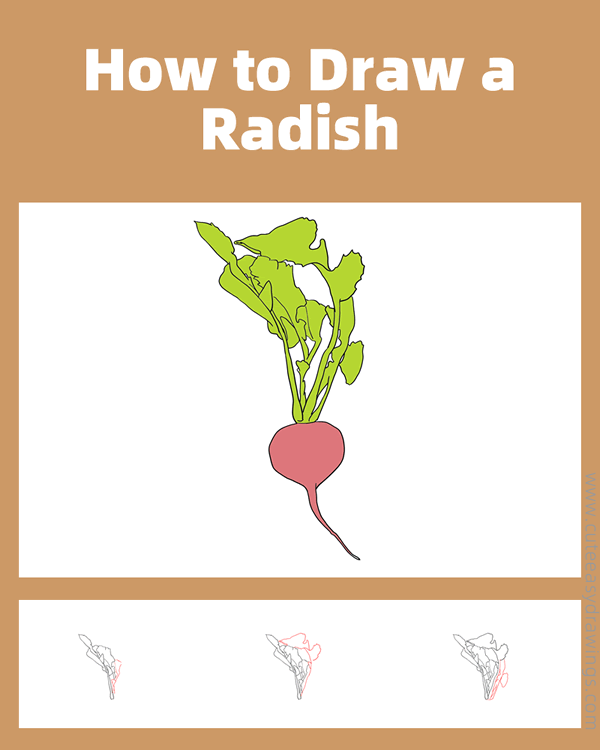 how to draw a radish - www.cuteeasydrawings.com