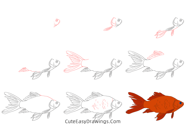 how to draw a realistic carp - www.cuteeasydrawings.com