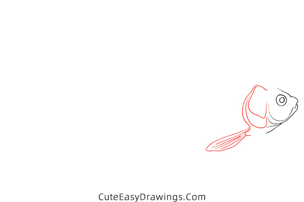 how to draw a realistic carp - www.cuteeasydrawings.com