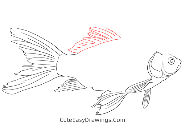 how to draw a realistic carp - www.cuteeasydrawings.com