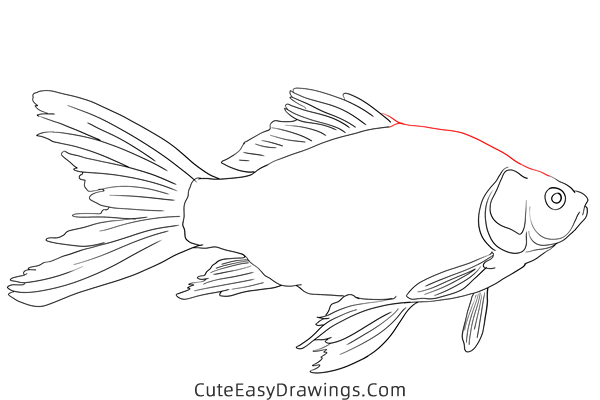 how to draw a realistic carp - www.cuteeasydrawings.com