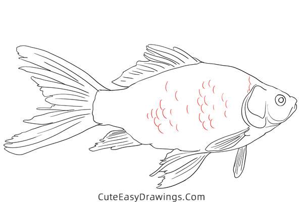 how to draw a realistic carp - www.cuteeasydrawings.com