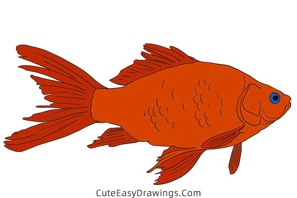 how to draw a realistic carp - www.cuteeasydrawings.com