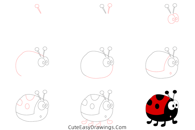 how to draw a ladybug - www.cuteeasydrawings.com