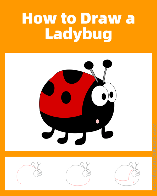 how to draw a ladybug - www.cuteeasydrawings.com