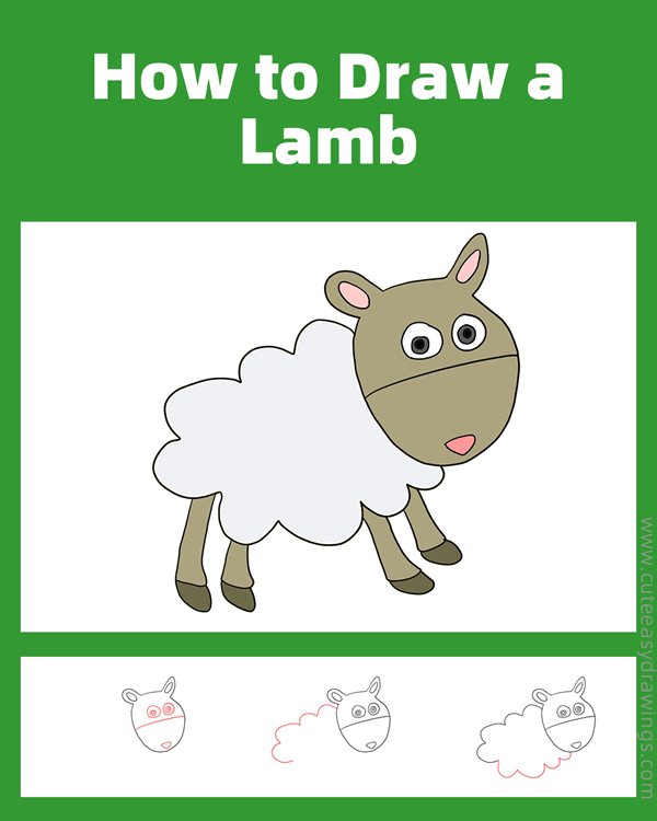 how to draw a lamb - www.cuteeasydrawings.com