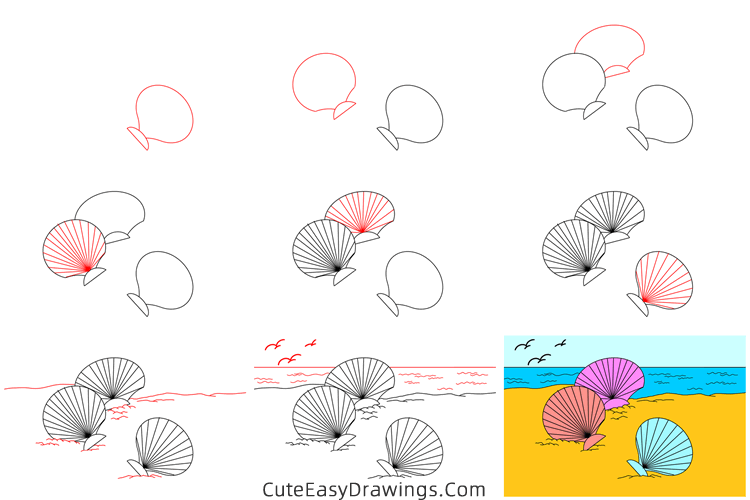 how to draw a seashell - www.cuteeasydrawings.com