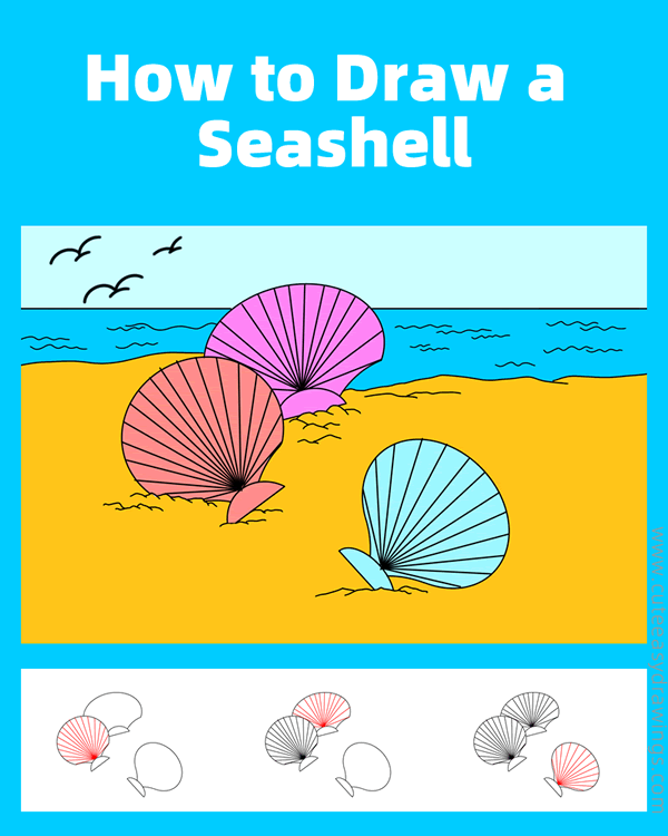 how to draw a seashell - www.cuteeasydrawings.com