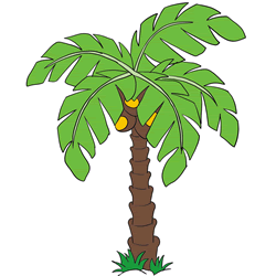 How to Draw a Palm Tree Step by Step