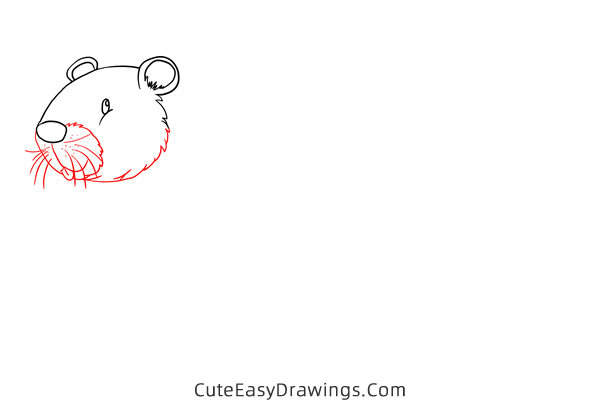 how to draw a beaver - www.cuteeasydrawings.com