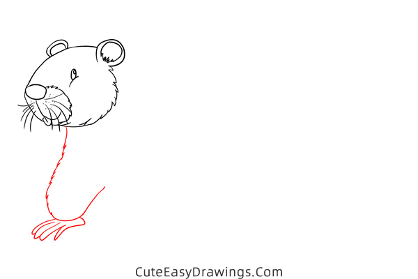 how to draw a beaver - www.cuteeasydrawings.com