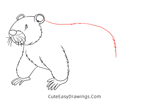 how to draw a beaver - www.cuteeasydrawings.com