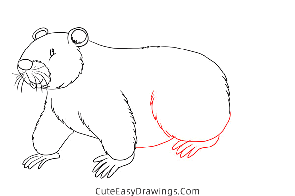 how to draw a beaver - www.cuteeasydrawings.com