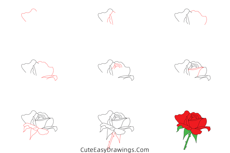 how to draw a blooming rose - www.cuteeasydrawings.com