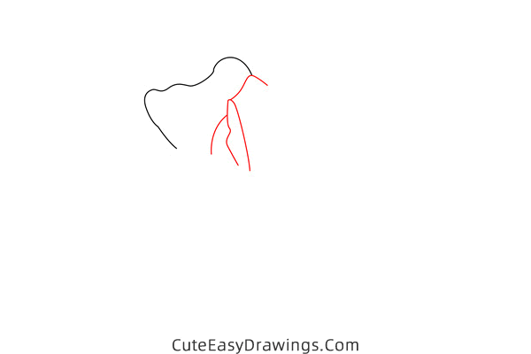 how to draw a blooming rose - www.cuteeasydrawings.com