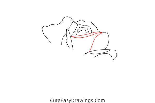 how to draw a blooming rose - www.cuteeasydrawings.com